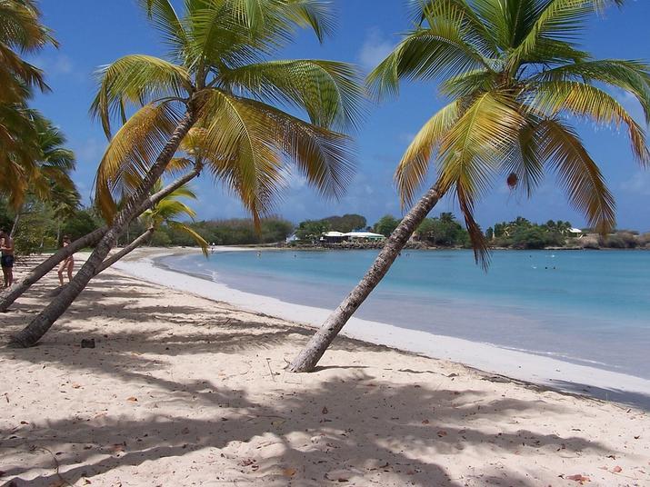A beach in Martinique Martinique